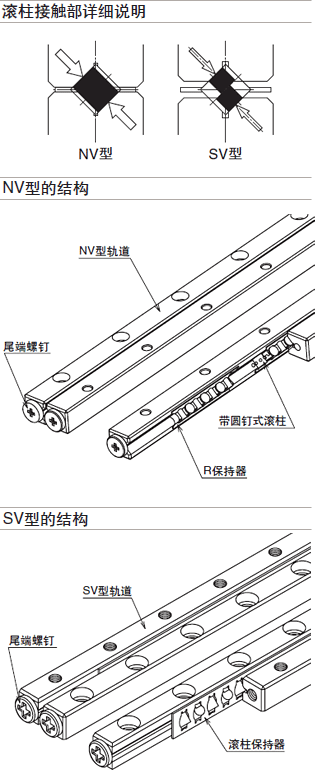 结构与特征